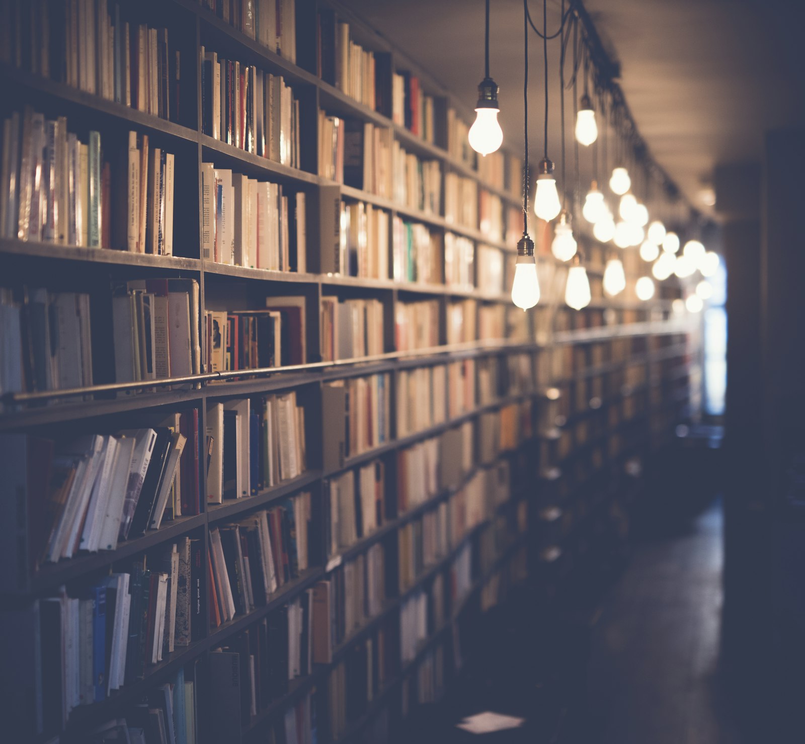 Warme Bibliotheksregale als Symbol für bewahrte Unterlagen